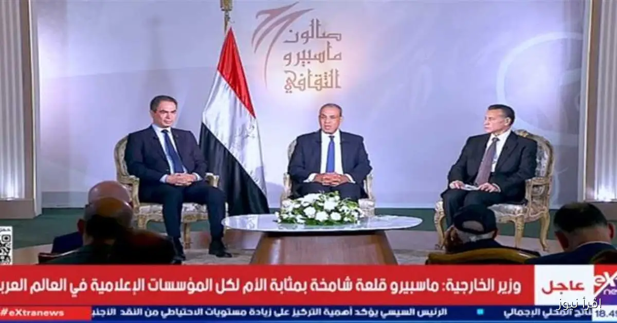 وزير الخارجية يؤكد: السفارات المصرية هي الدرع الأول لحماية الدولة