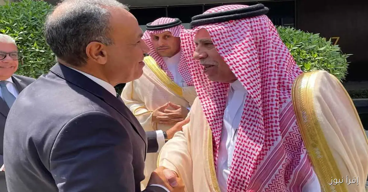 وزير الخارجية يسلط الضوء على أهمية تعزيز الاستثمارات السعودية المباشرة في مصر