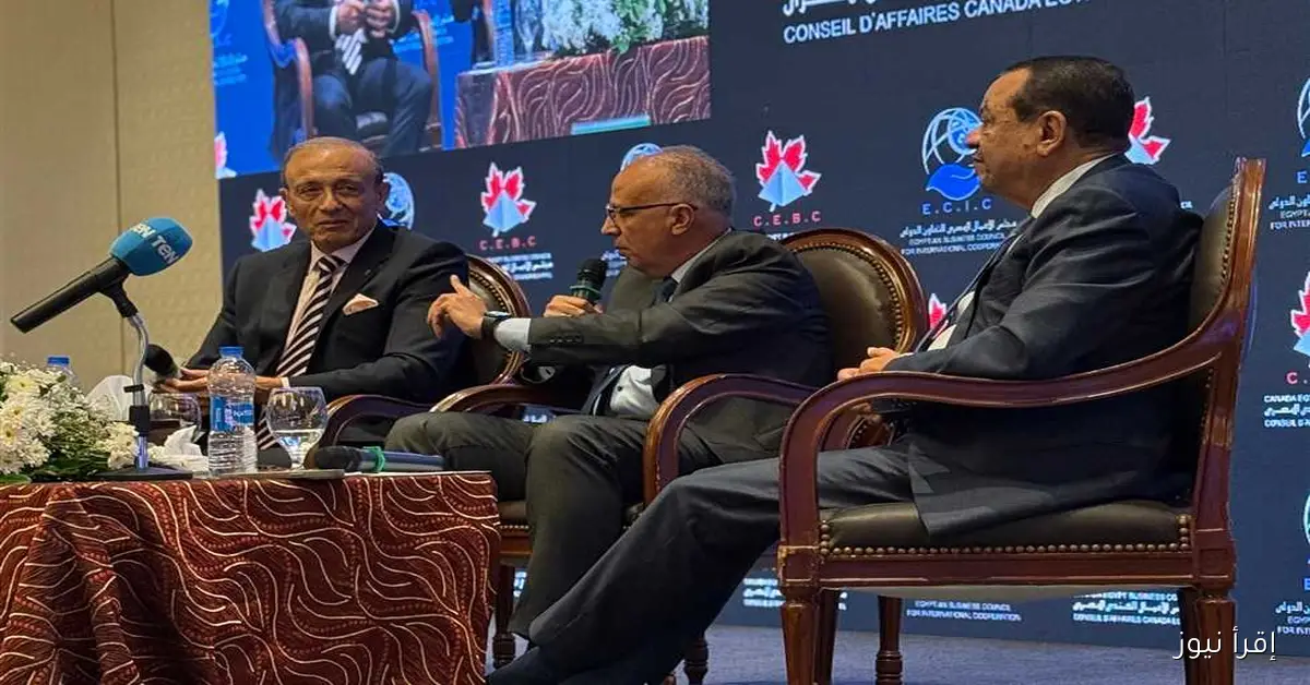 وزير الري: “طالما المياه مجانية، لن يكون هناك ترشيد للاستهلاك والأسعار ستشهد زيادة”