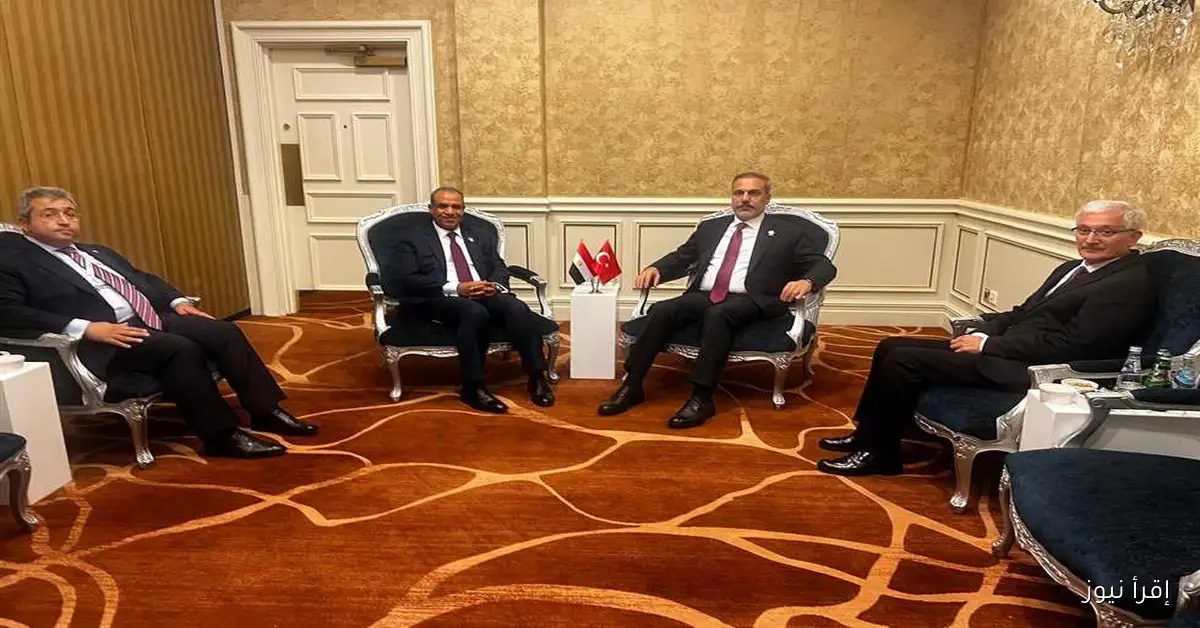 وزيرا خارجية مصر وتركيا يؤكدان تضامنهما مع قطر ضد العدوان الإسرائيلي الأخير