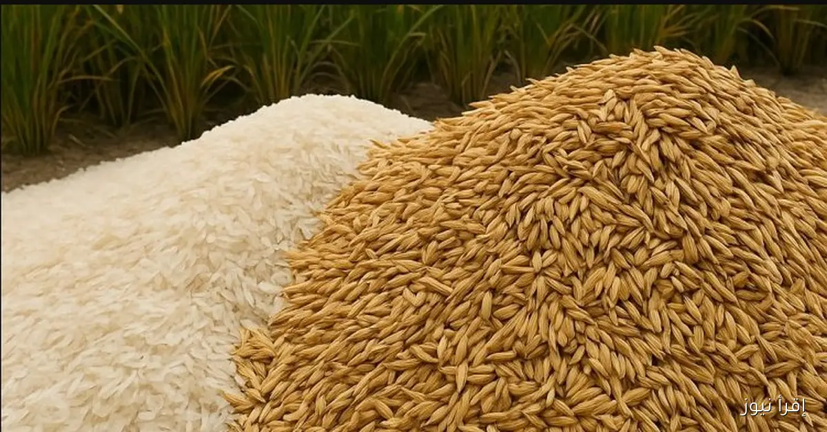 سعر طن الارز الشعير اليوم يستقر للمستهلك في الاسواق