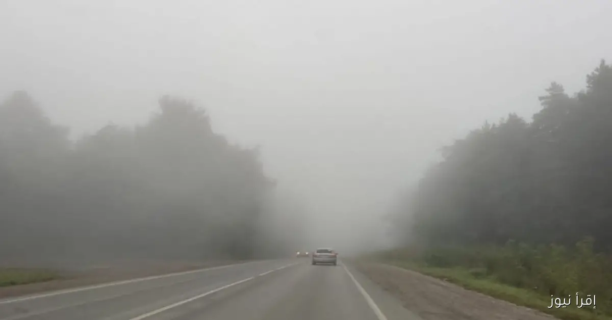 حالة الشبورة اليوم الأربعاء 29 أكتوبر 2025 في مصر .. تحذيرات هامة للقيادة ودرجات الحرارة المتوقعة