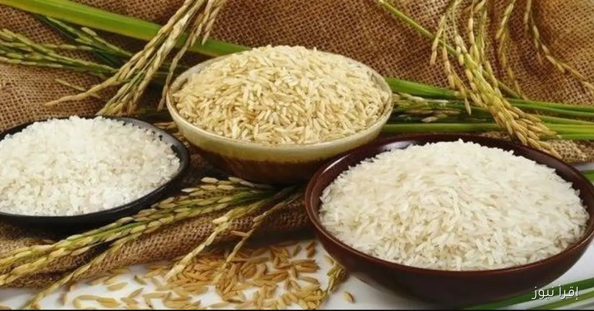 الطن بكام .. سعر الأرز الشعير اليوم الثلاثاء 28 أكتوبر 2025 في مصر داخل الأسواق والمحلات التجارية