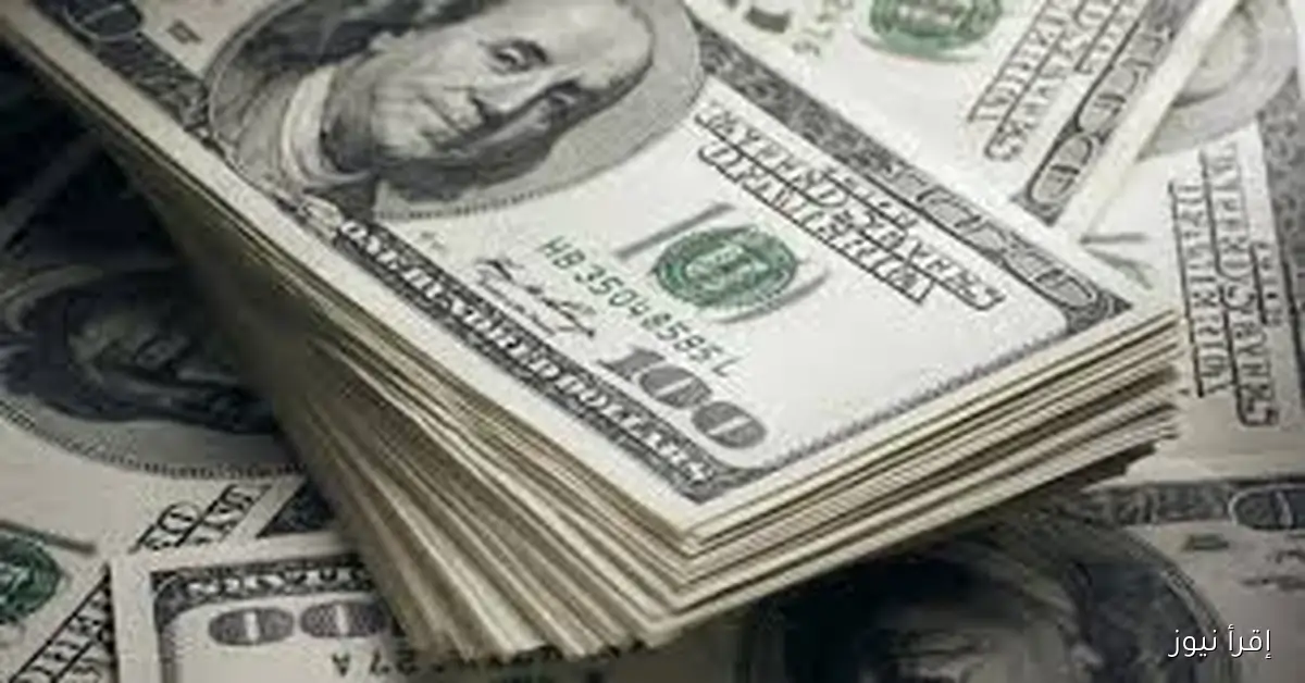 استقرار سعر الدولار اليوم الثلاثاء 28 أكتوبر 2025 مقابل الجنية المصري في البنوك والسوق السوداء
