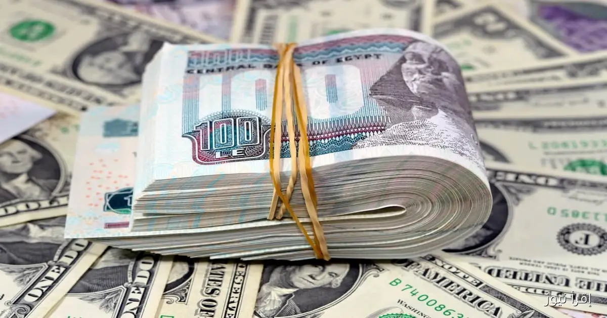سعر الدولار مقابل الجنيه المصري اليوم السبت 2025/10/25 في السوق السوداء