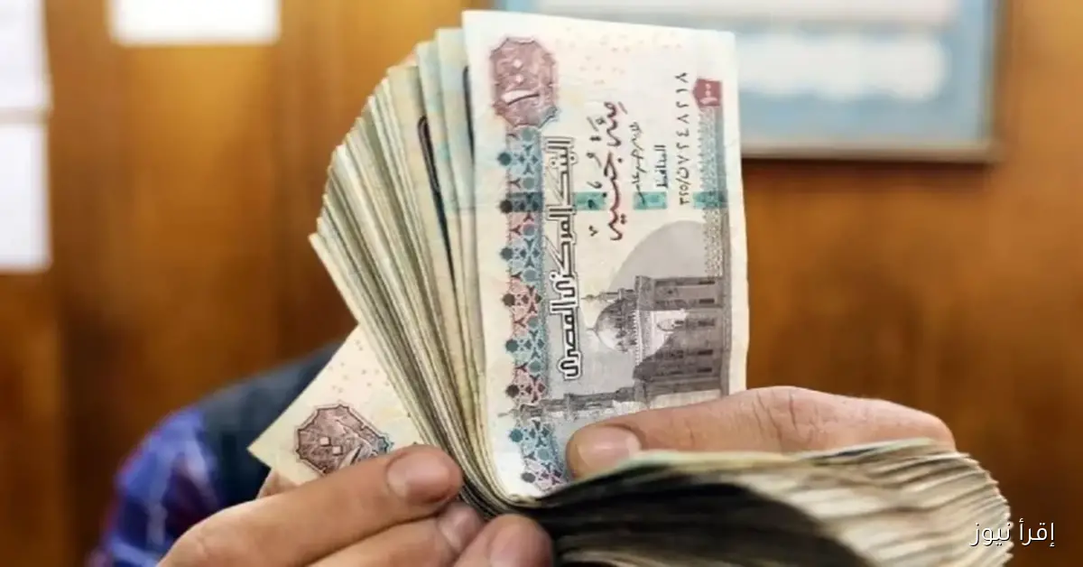 صرف المعاشات شهر نوفمبر 2025 والاستعلام عبر موقع التأمينات الاجتماعية nosi.gov.eg