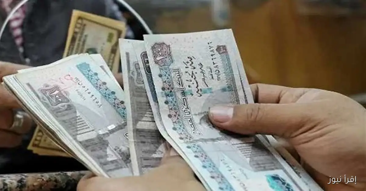 صرف المعاشات شهر نوفمبر 2025.. موعد البدء وخطوات الاستعلام عبر موقع الرسمي nosi.gov.eg