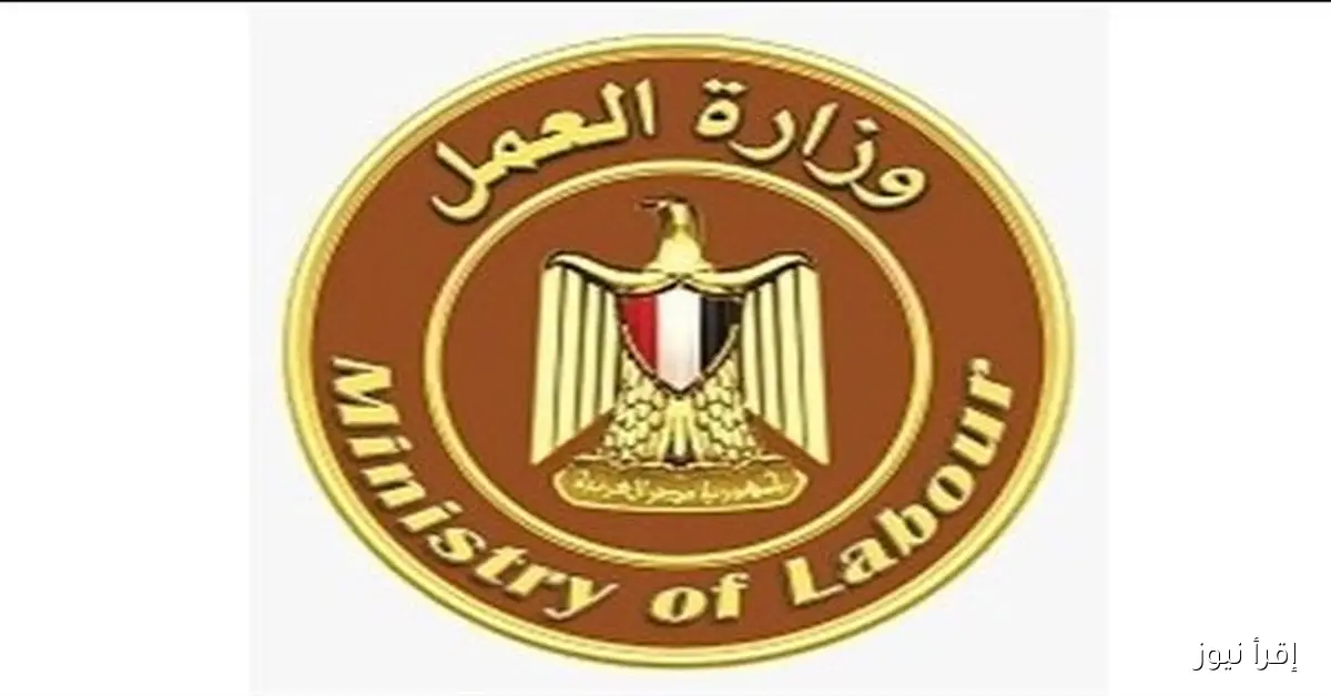 عاجـل رفع الحد الادني للأجور في مصر 2025 للقطاع الخاص والعام