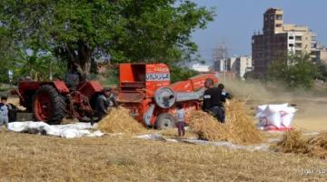 14730249781714649963