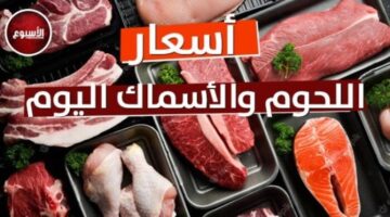 1764226457 الكبدة البلدي بـ 400 جنيه أسعار اللحوم النهاردة الخميس 27