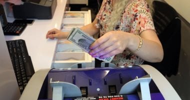 سعر الدولار يسجل استقرارًا في البنوك المصرية اليوم