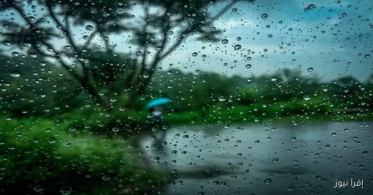 تغيرات مفاجئة في حالة الطقس غدا الثلاثاء وسقوط أمطار على هذه المناطق والأرصاد تحذر المواطنين