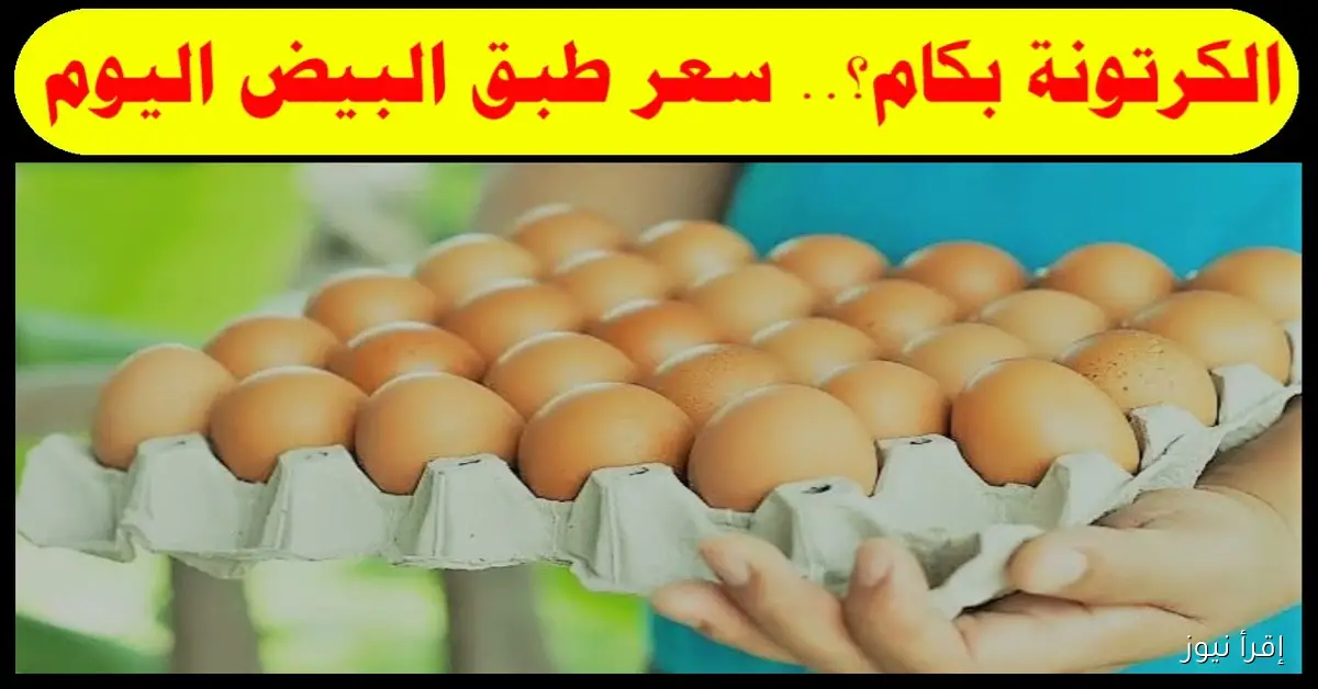 (ابيض، احمر، بلدي) سعر كرتونة البيض اليوم في بورصة الدواجن والأسواق المصرية
