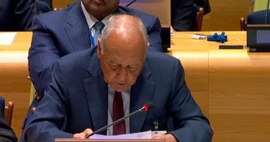 أبو الغيط يؤكد أن قرار مجلس الأمن بشأن غزة خطوة أولى نحو تجسيد الدولة الفلسطينية