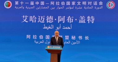 أبو الغيط يوضح أهمية التفاعل الإيجابي بين الحضارتين العربية والصينية