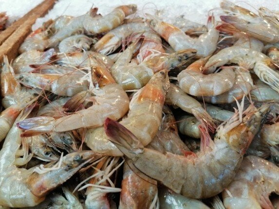 أسعار الأسماك اليوم الجمعة 28 نوفمبر 2025: الجمبري بـ 1200 جنيه