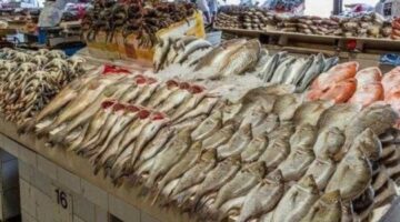 أسعار السمك النهارده الخميس 27 نوفمبر 2025