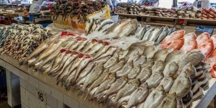 أسعار السمك النهارده الخميس 27 نوفمبر 2025