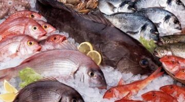 أسعار السمك والجمبري النهارده الأحد 30 نوفمبر 2025 البلطي الأسواني