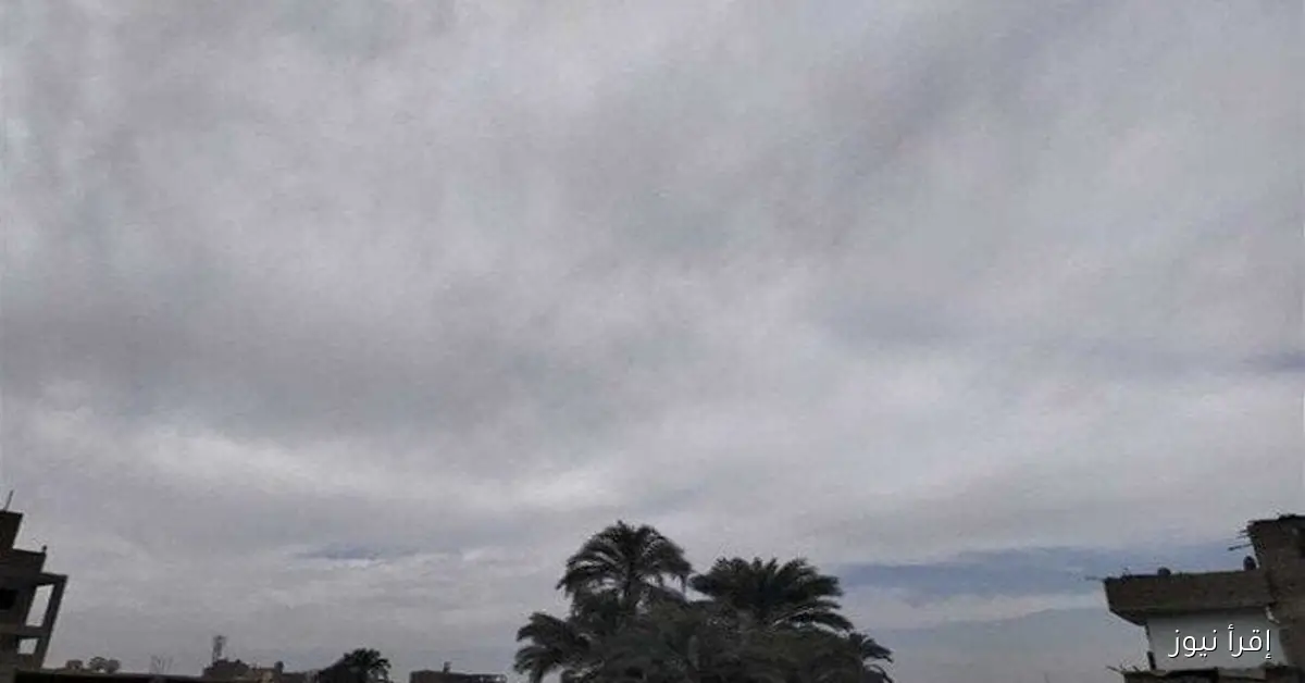 أمطار متوقعة في المناطق دي.. الأرصاد بتكشف عن حالة الطقس بكرة الأربعاء 26 نوفمبر 2025
