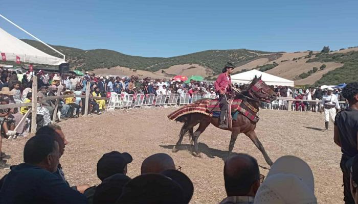 إعادة إحياء التقاليد العريقة.. مهرجان الفروسية في تسكراية تونس يضيء الأجواء