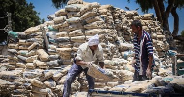 استقرار أسعار الأسمنت في السوق المصري اليوم السبت 22 نوفمبر 2025