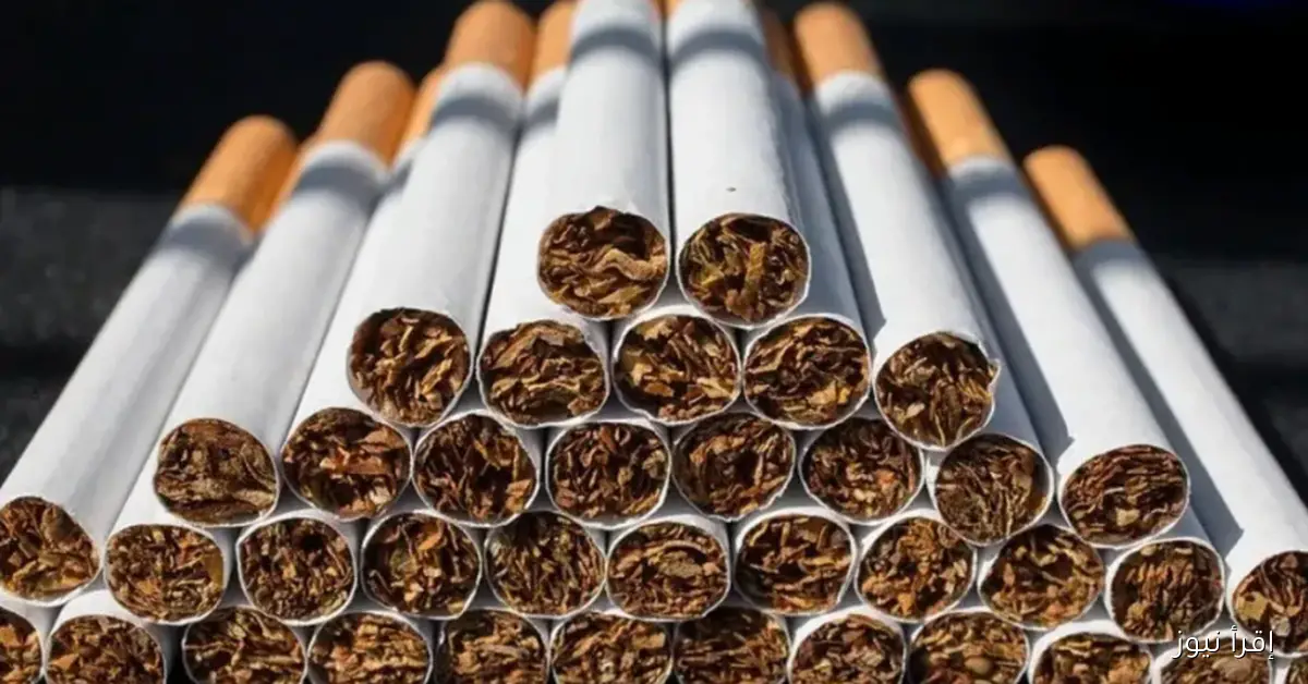 أسعار السجائر اليوم الاربعاء 5 نوفمبر 2025 في الأسواق المصرية .. استقرار في السوق المحلي والمستورد