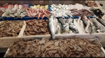 اسعار السمك