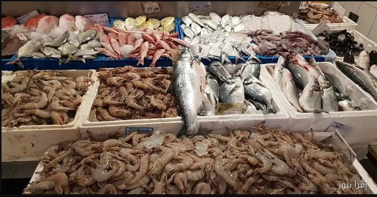 تراجع اسعار السمك اليوم الثلاثاء 4 نوفمبر 2025 للمستهلك
