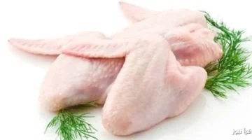 الأسعار بتتقلب الترابيزة هبوط جديد في أسعار الدواجن بسبب معروض