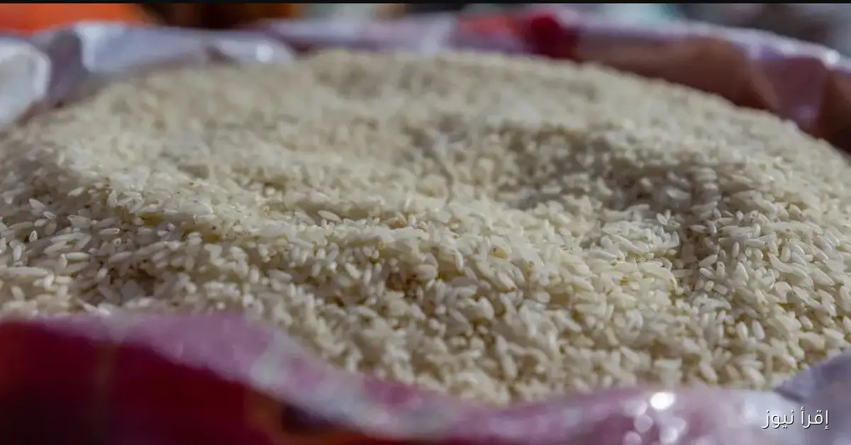 الحكومة تضبط سعر طن الأرز الشعير اليوم في السوق الاستهلاكي