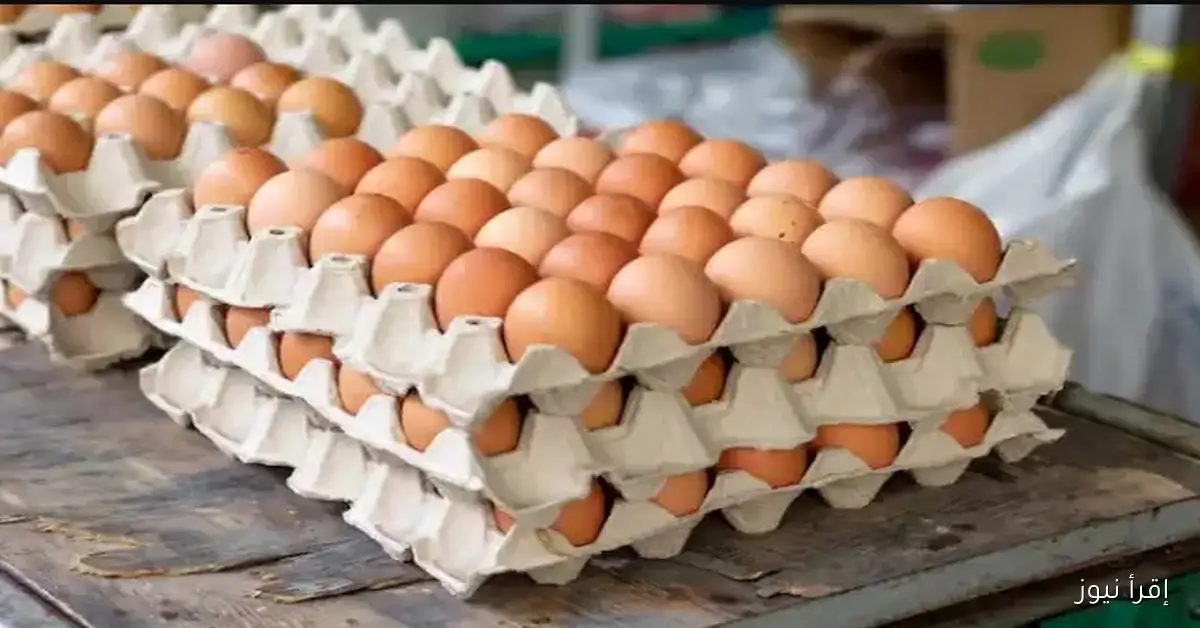 سعر كرتونة البيض اليوم 6-11-2025 ومفاجأة السوق المصري للمستهلك