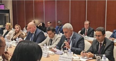 الجامعة العربية تدعو لزيادة المنح المتبادلة بين الدول العربية والصين