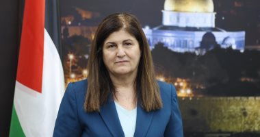 الخارجية الفلسطينية تطالب بتدخل دولي عاجل لوقف العدوان على قطاع غزة