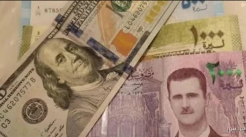 الدولار والليرة