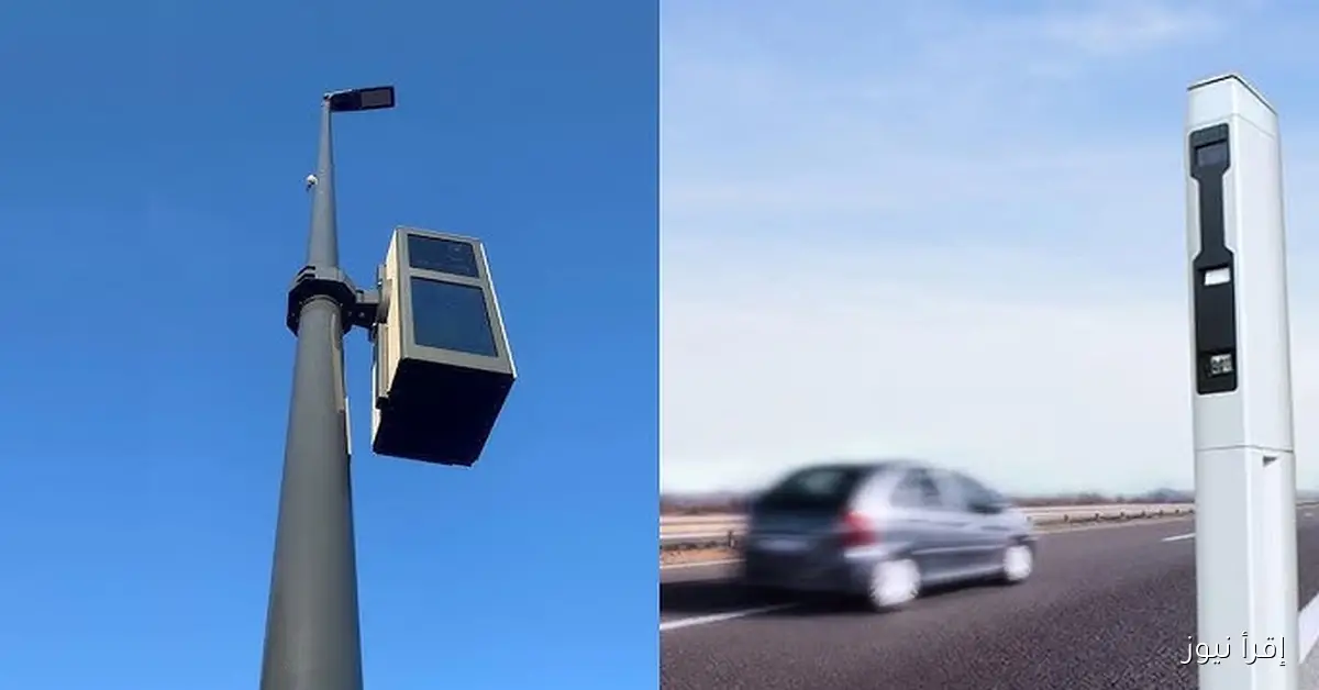 ppo.gov.eg رابط الاستعلام عن مخالفات المرور 2025 وما هي الخطوات؟