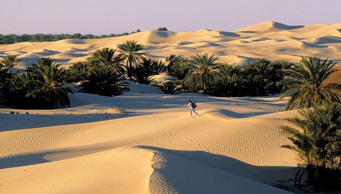 «دوز» التونسية.. مقصد صحراوي مميز للسياحة في الشتاء