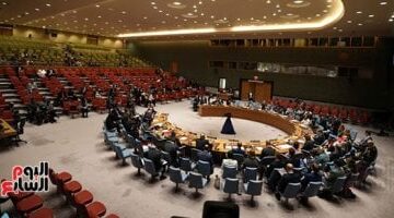 زعيم حزب إسرائيلي يكشف عن تنازل مجلس الأمن عن أمن