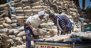 سعر الأسمنت يستقر اليوم الجمعة 28-11-2025 في مصر