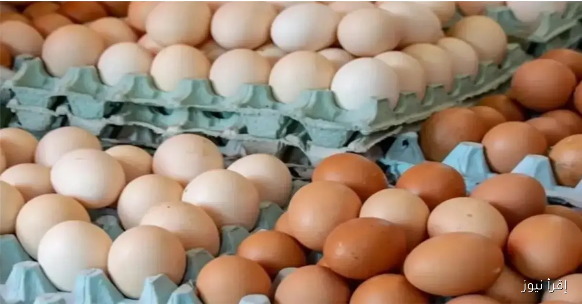 مفاجأة نوفمبر .. سعر كرتونة البيض الأبيض والأحمر اليوم في السوق المصري