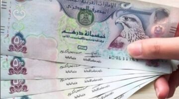 سعر الدرهم الإماراتي مقابل الجنيه المصري اليوم الأحد 30 نوفمبر