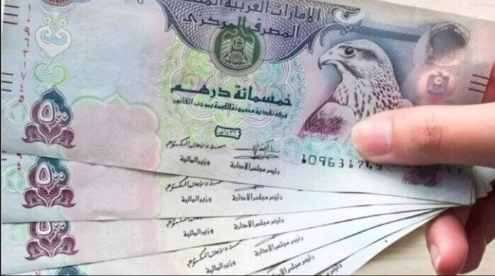 سعر الدرهم الإماراتي مقابل الجنيه المصري اليوم الأحد 30 نوفمبر 2025