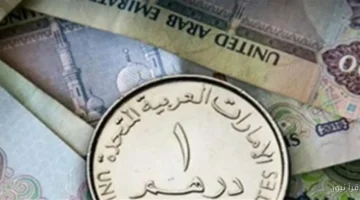 سعر الدرهم الاماراتي 1