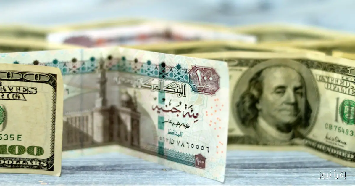 سعر الدولار مقابل الجنيه المصري اليوم السبت 8 نوفمبر 2025 في مصر داخل البنوك والسوق السوداء