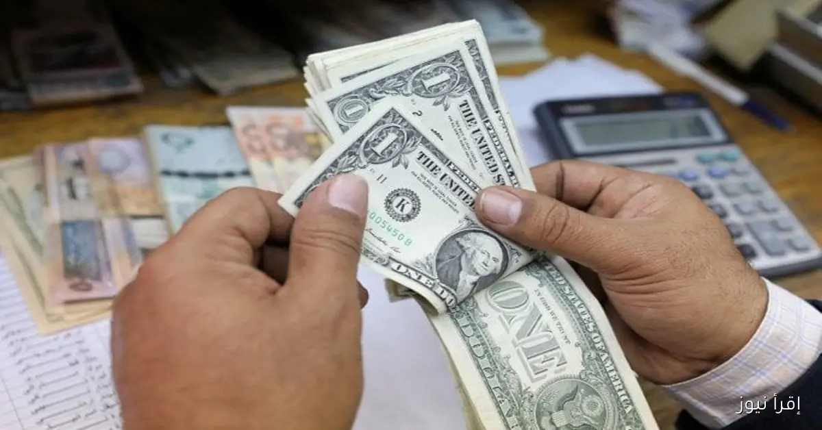 بكام؟ سعر الدولار قدام الجنيه في نص تعاملات يوم الثلاثاء 25 نوفمبر 2025