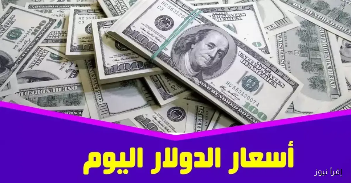 سعر الدولار مقابل الجنيه المصري اليوم الاثنين 3 نوفمبر 2025.. استقرار نسبي في البنوك وتراجع بالسوق السوداء
