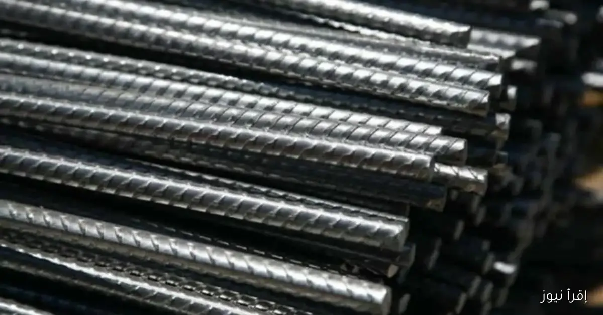 سعر طن الحديد اليوم حديد عز الاحد 2025/11/2 في أسواق البناء