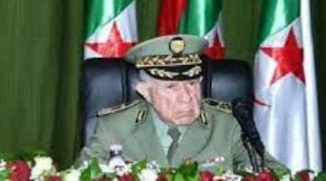 شيبينغ وشوجاييف يبحثان تعزيز التعاون العسكري بين الجزائر وروسيا