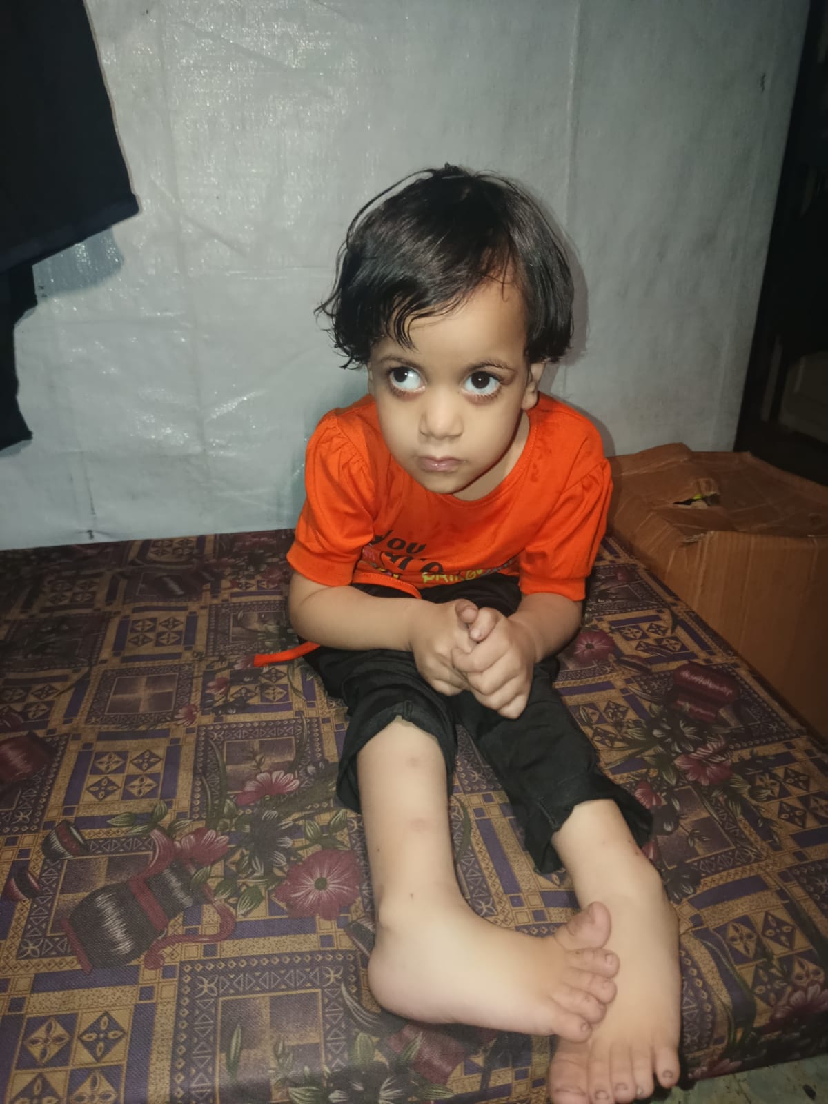 سيلا النجار