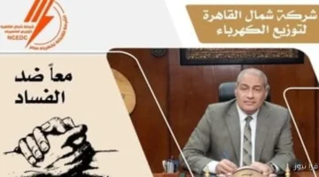 كهرباء شمال القاهرة تعلن عن مبادرة جديدة لمكافحة الفساد برقم